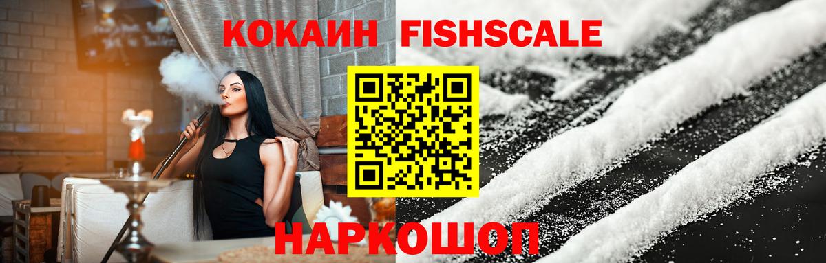 COCAIN Fish Scale Кинель