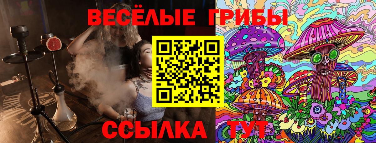 Галлюциногенные грибы Magic Shrooms  Вход с VPN  Кинель 