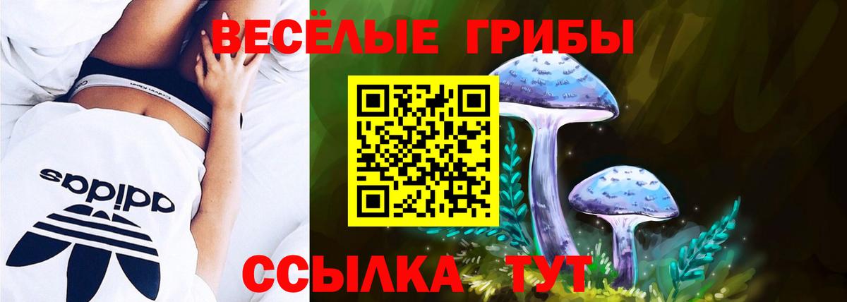 Псилоцибиновые грибы мицелий Кинель